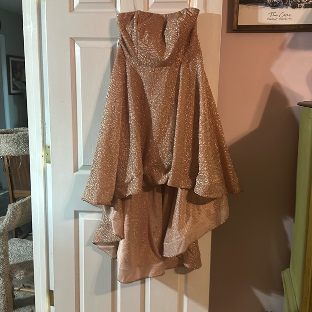 Pink shimmery prom dress worn only once is in really good condition